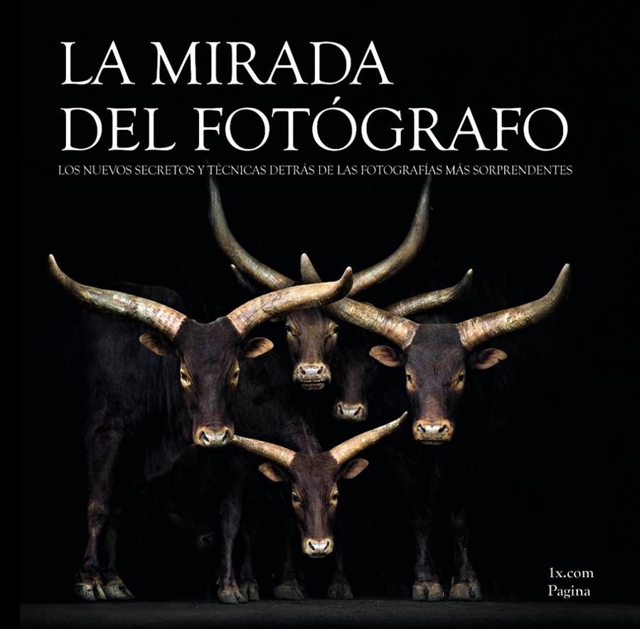 MIRADA DEL FOTOGRAFO, LA | 9788441534254 | AAVV | Llibreria Drac - Llibreria d'Olot | Comprar llibres en català i castellà online