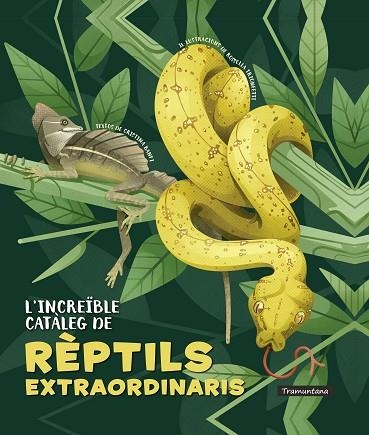 INCREÏBLE CATÀLEG DE RÈPTILS EXTRAORDINARIS, L' | 9788418520341 | BANFI, CRISTINA | Llibreria Drac - Llibreria d'Olot | Comprar llibres en català i castellà online