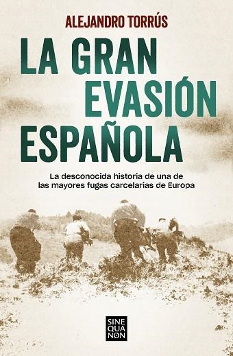 GRAN EVASIÓN ESPAÑOLA, LA | 9788466670883 | TORRÚS, ALEJANDRO | Llibreria Drac - Llibreria d'Olot | Comprar llibres en català i castellà online