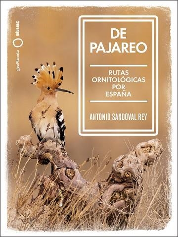 DE PAJAREO | 9788408251514 | SANDOVAL, ANTONIO | Llibreria Drac - Llibreria d'Olot | Comprar llibres en català i castellà online