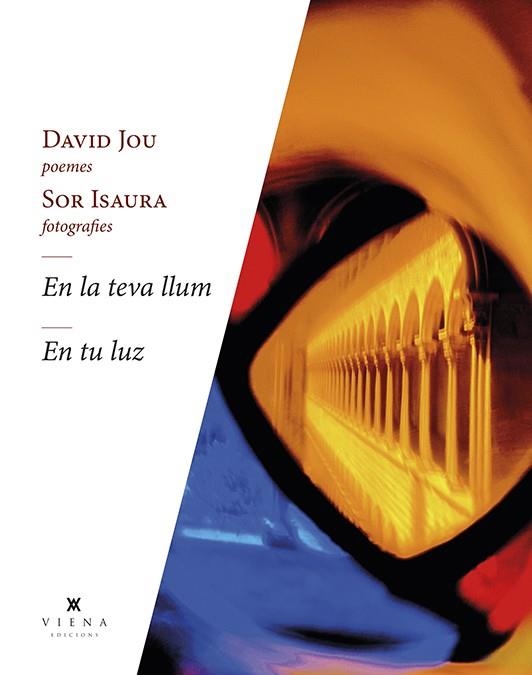 EN LA TEVA LLUM - EN TU LUZ | 9788418908262 | JOU MIRABENT, DAVID | Llibreria Drac - Llibreria d'Olot | Comprar llibres en català i castellà online