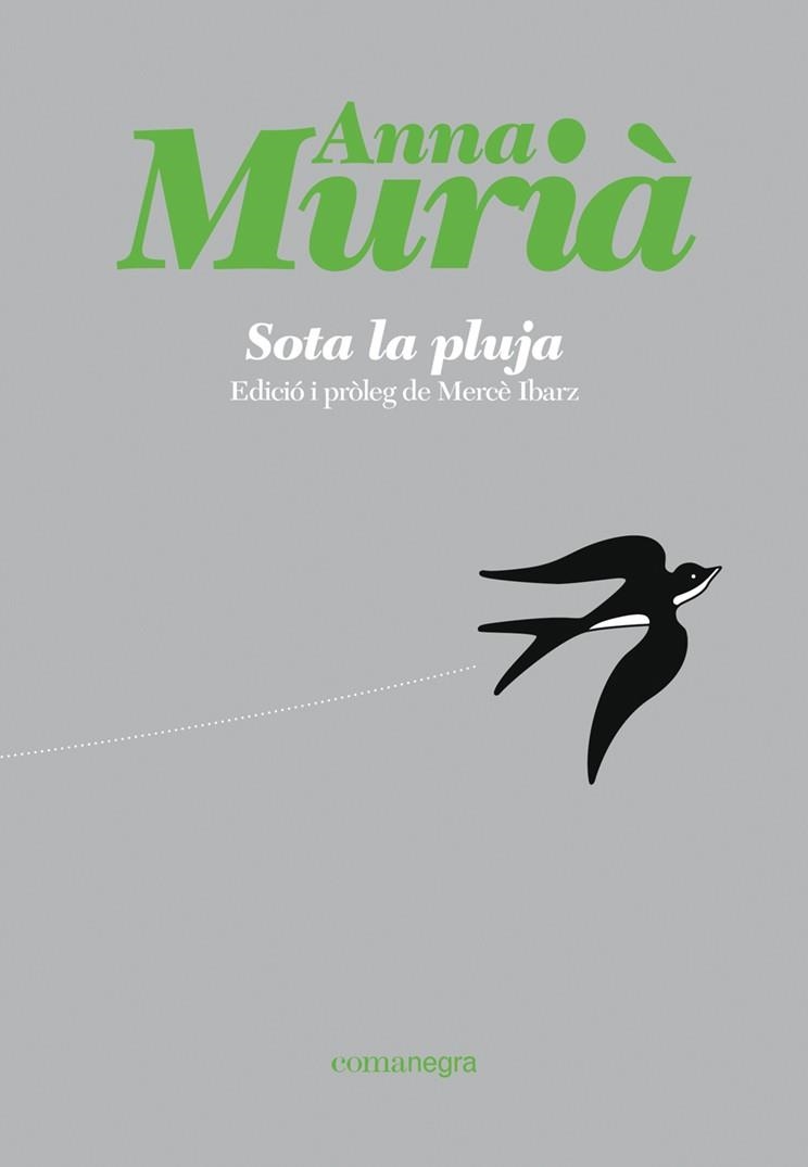 SOTA LA PLUJA | 9788418857430 | MURIÀ ROMANÍ, ANNA | Llibreria Drac - Llibreria d'Olot | Comprar llibres en català i castellà online