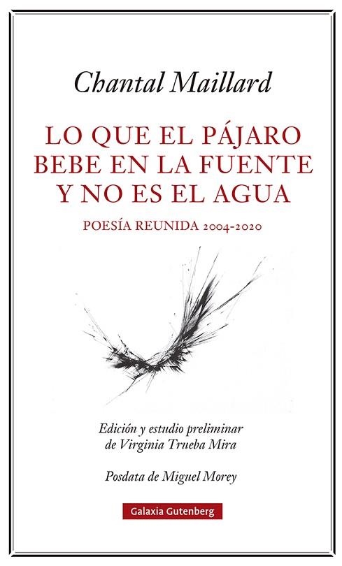 LO QUE EL PÁJARO BEBE EN LA FUENTE Y NO ES EL AGUA | 9788418807633 | MAILLARD, CHANTAL | Llibreria Drac - Llibreria d'Olot | Comprar llibres en català i castellà online