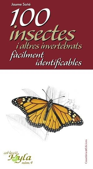 100 INSECTES I ALTRES INVERTEBRATS FACILMENT IDENTIFICABLES | 9788497916783 | SAÑE, JAUME | Llibreria Drac - Llibreria d'Olot | Comprar llibres en català i castellà online