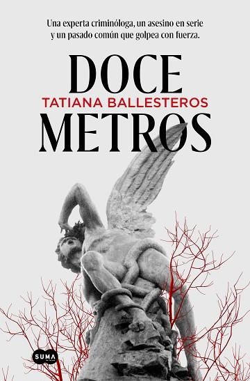 DOCE METROS | 9788491296485 | BALLESTEROS, TATIANA | Llibreria Drac - Llibreria d'Olot | Comprar llibres en català i castellà online