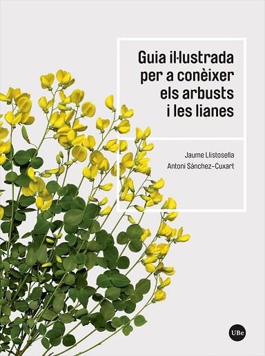 GUIA IL·LUSTRADA PER A CONÈIXER ELS ARBUSTS I LES LIANES | 9788491683735 | LLISTOSELLA VIDAL, JAUME; SÀNCHEZ-CUXART, ANTONI | Llibreria Drac - Llibreria d'Olot | Comprar llibres en català i castellà online