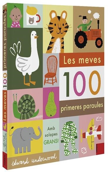 MEVES 100 PRIMERES PARAULES | 9788491015932 | UNDERWOOD, EDWARD | Llibreria Drac - Llibreria d'Olot | Comprar llibres en català i castellà online