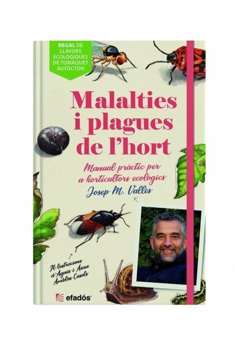 MALALTIES I PLAGUES DE L'HORT | 9788419239044 | VALLÈS, JOSEP MARIA | Llibreria Drac - Llibreria d'Olot | Comprar llibres en català i castellà online