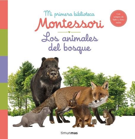 ANIMALES DEL BOSQUE. MI PRIMERA BIBLIOTECA MONTESSORI, LOS | 9788408244608 | AA.DD. | Llibreria Drac - Llibreria d'Olot | Comprar llibres en català i castellà online