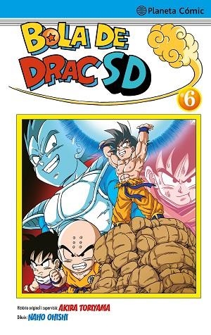 BOLA DE DRAC SD Nº 06 | 9788491746690 | TORIYAMA, AKIRA; OHISHI, NAHO | Llibreria Drac - Llibreria d'Olot | Comprar llibres en català i castellà online