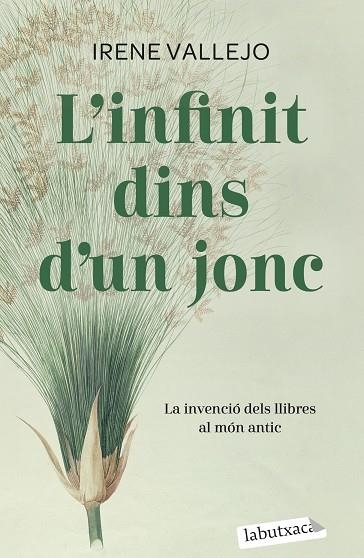 INFINIT DINS D'UN JONC, L' | 9788419107121 | VALLEJO, IRENE | Llibreria Drac - Librería de Olot | Comprar libros en catalán y castellano online