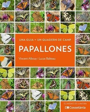 PAPALLONES | 9788413560540 | ALBOUY, VINCENT; BALITEAU, LUCAS | Llibreria Drac - Llibreria d'Olot | Comprar llibres en català i castellà online