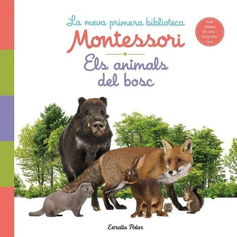 ANIMALS DEL BOSC, ELS. LA MEVA PRIMERA BIBLIOTECA MONTESSORI | 9788413890159 | AA.DD. | Llibreria Drac - Llibreria d'Olot | Comprar llibres en català i castellà online