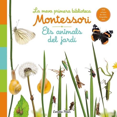 ANIMALS DEL JARDÍ, ELS. LA MEVA PRIMERA BIBLIOTECA MONTESSORI | 9788413890142 | AA.DD. | Llibreria Drac - Llibreria d'Olot | Comprar llibres en català i castellà online