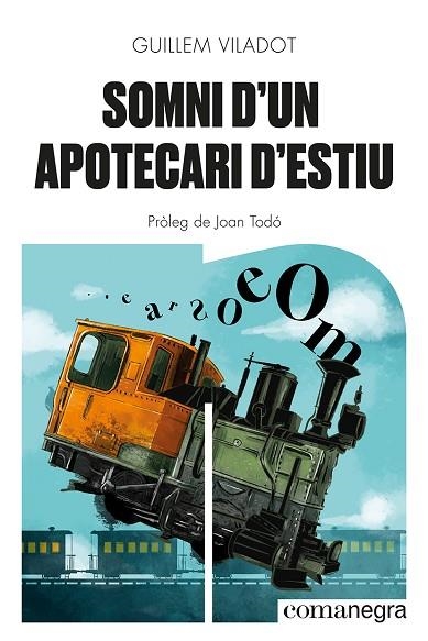 SOMNI D'UN APOTECARI D'ESTIU | 9788418857645 | VILADOT, GUILLEM | Llibreria Drac - Llibreria d'Olot | Comprar llibres en català i castellà online