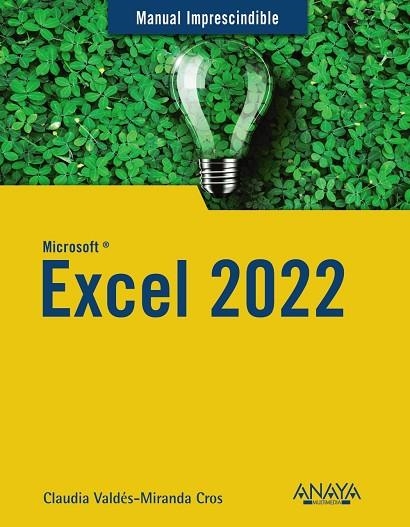 EXCEL 2022 | 9788441545182 | VALDÉS-MIRANDA, CLAUDIA | Llibreria Drac - Llibreria d'Olot | Comprar llibres en català i castellà online