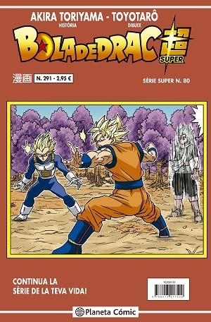 BOLA DE DRAC SÈRIE VERMELLA Nº 291 | 9788491746270 | TORIYAMA, AKIRA | Llibreria Drac - Llibreria d'Olot | Comprar llibres en català i castellà online