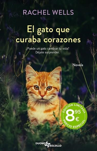 GATO QUE CURABA CORAZONES, EL | 9788419004468 | WELLS, RACHEL | Llibreria Drac - Llibreria d'Olot | Comprar llibres en català i castellà online