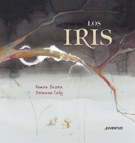 IRIS, LOS | 9788426147813 | BESORA, RAMON | Llibreria Drac - Llibreria d'Olot | Comprar llibres en català i castellà online