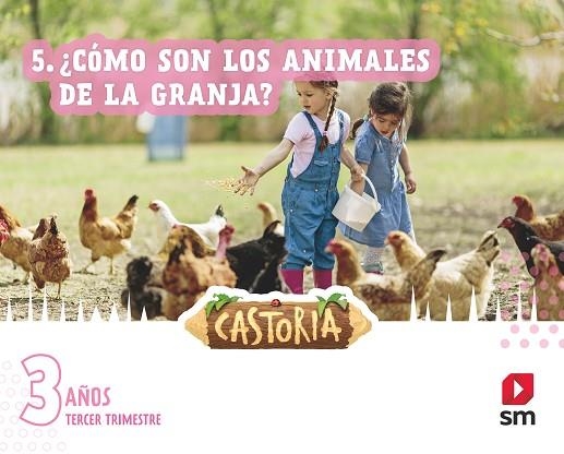 3 AÑOS CASTORIA 3T | 9788411201490 | GIRÁLDEZ HAYES, ANDREA/JIMÉNEZ, Mª ESTRELLA/MENÉNDEZ CAMARENA, PILAR | Llibreria Drac - Llibreria d'Olot | Comprar llibres en català i castellà online