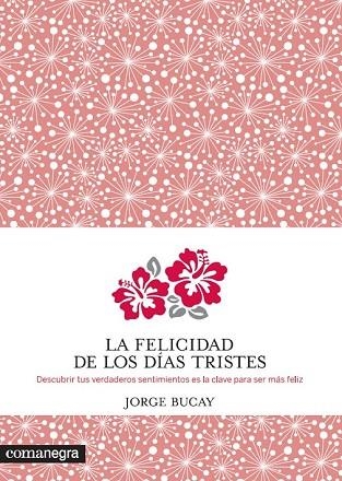 FELICIDAD DE LOS DÍAS TRISTES, LA | 9788415097938 | BUCAY, JORGE | Llibreria Drac - Librería de Olot | Comprar libros en catalán y castellano online