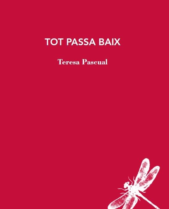 TOT PASSA BAIX | 9788412577426 | PASCUAL, TERESA | Llibreria Drac - Llibreria d'Olot | Comprar llibres en català i castellà online