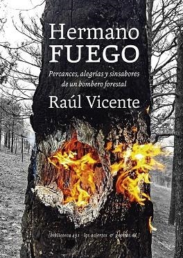 HERMANO FUEGO | 9788412434521 | VICENTE, RAÚL | Llibreria Drac - Llibreria d'Olot | Comprar llibres en català i castellà online