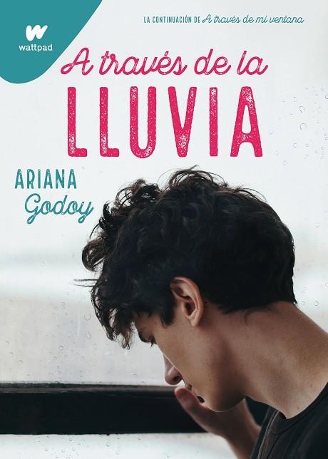 A TRAVÉS DE LA LLUVIA (TRILOGÍA HERMANOS HIDALGO 3) | 9788418483196 | GODOY, ARIANA | Llibreria Drac - Llibreria d'Olot | Comprar llibres en català i castellà online