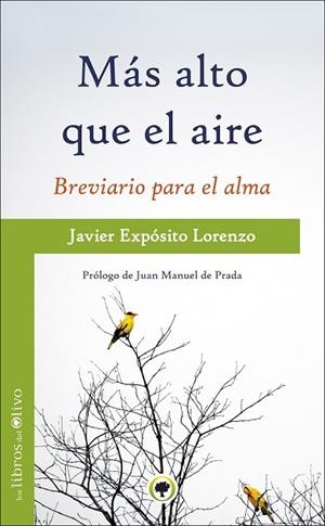 MAS ALTO QUE EL AIRE | 9788494170423 | EXPOSITO, JAVIER | Llibreria Drac - Llibreria d'Olot | Comprar llibres en català i castellà online