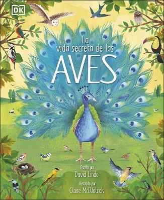 VIDA SECRETA DE LAS AVES, LA | 9780241583357 | LINDO, DAVID | Llibreria Drac - Llibreria d'Olot | Comprar llibres en català i castellà online