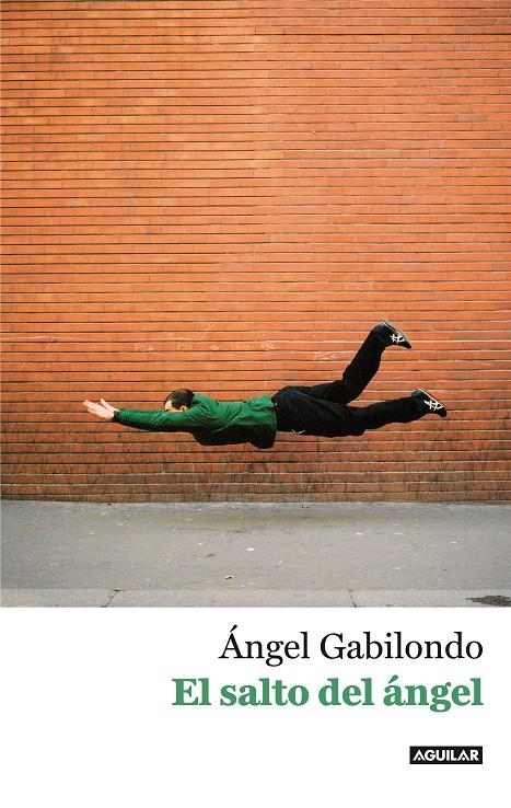 SALTO DEL ANGEL, EL. PALABRAS PARA COMPRENDERNOS | 9788403013803 | GABILONDO, ANGEL | Llibreria Drac - Llibreria d'Olot | Comprar llibres en català i castellà online