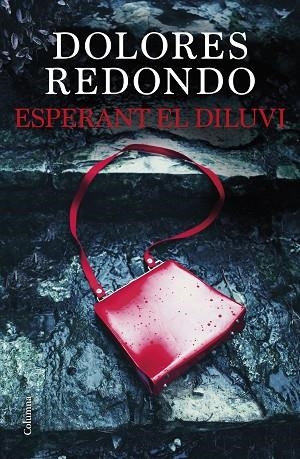 ESPERANT EL DILUVI | 9788466429849 | REDONDO, DOLORES | Llibreria Drac - Llibreria d'Olot | Comprar llibres en català i castellà online