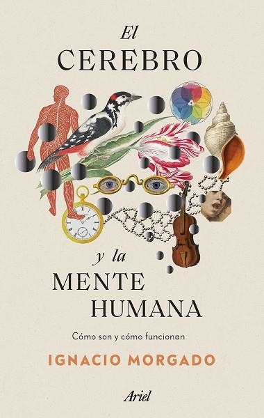 CEREBRO Y LA MENTE HUMANA, EL | 9788434435988 | MORGADO, IGNACIO | Llibreria Drac - Llibreria d'Olot | Comprar llibres en català i castellà online