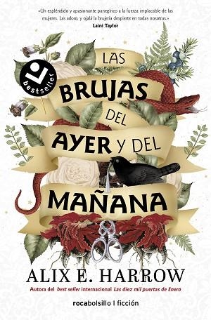 BRUJAS DEL AYER Y DEL MAÑANA, LAS | 9788418850769 | HARROW, ALIX E. | Llibreria Drac - Llibreria d'Olot | Comprar llibres en català i castellà online