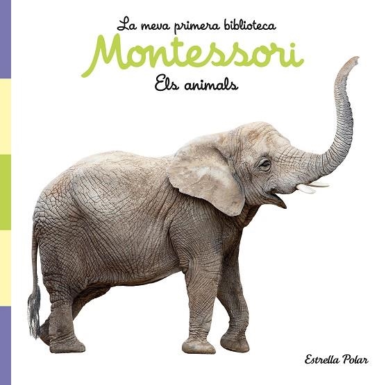 ANIMALS, ELS. LA MEVA PRIMERA BIBLIOTECA MONTESSORI (LLIBRE DE TELA) | 9788413892856 | AA.DD. | Llibreria Drac - Llibreria d'Olot | Comprar llibres en català i castellà online