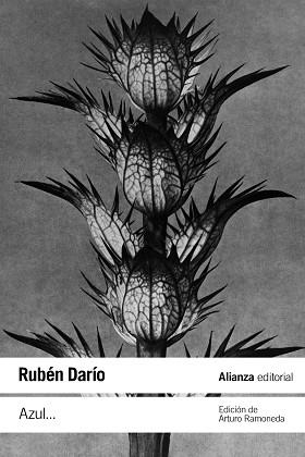 AZUL... | 9788411480949 | DARÍO, RUBÉN | Llibreria Drac - Librería de Olot | Comprar libros en catalán y castellano online