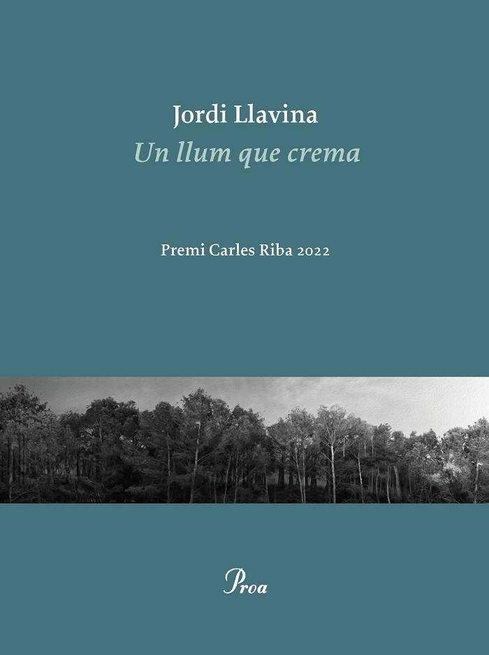 LLUM QUE CREMA, UN (PREMI CARLES RIBA DE POESIA 2022) | 9788475889979 | LLAVINA, JORDI | Llibreria Drac - Llibreria d'Olot | Comprar llibres en català i castellà online