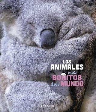 ANIMALES MÁS BONITOS DEL MUNDO, LOS | 9788419436177 | LEDU, STÉPHANIE | Llibreria Drac - Llibreria d'Olot | Comprar llibres en català i castellà online