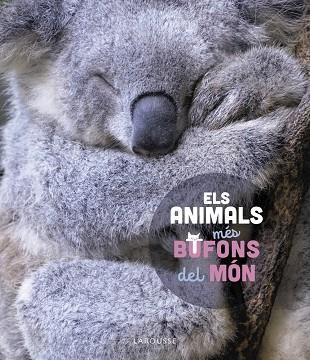 ANIMALS MÉS BUFONS DEL MÓN, ELS | 9788419436184 | LEDU, STÉPHANIE | Llibreria Drac - Llibreria d'Olot | Comprar llibres en català i castellà online