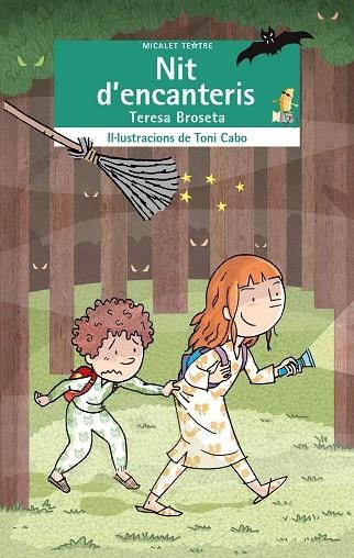 NIT D'ENCANTERIS | 9788413584201 | BROSETA, TERESA | Llibreria Drac - Llibreria d'Olot | Comprar llibres en català i castellà online