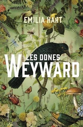 DONES WEYWARD, LES | 9788466430210 | HART, EMILIA | Llibreria Drac - Llibreria d'Olot | Comprar llibres en català i castellà online