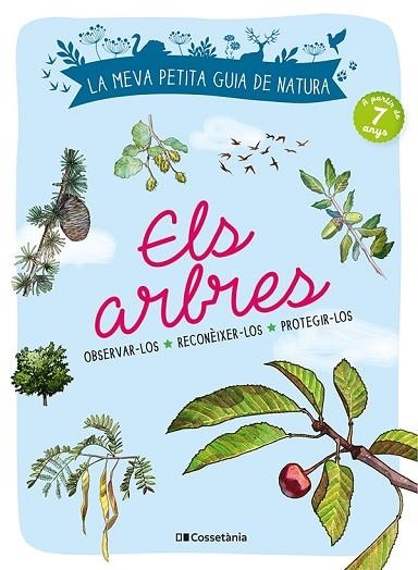 ARBRES, ELS. OBSERVAR-LOS. RECONÈIXER-LOS. PROTEGIR-LOS | 9788413562513 | JAPIOT, XAVIER | Llibreria Drac - Llibreria d'Olot | Comprar llibres en català i castellà online