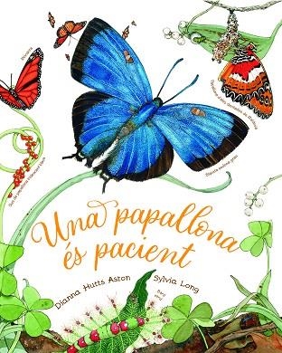 PAPALLONA ÉS PACIENT, UNA | 9788418900471 | HUTTS ASTON, DIANNA | Llibreria Drac - Llibreria d'Olot | Comprar llibres en català i castellà online