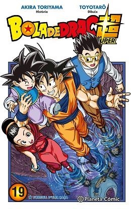 BOLA DE DRAC SUPER Nº 19 | 9788491746539 | TORIYAMA, AKIRA; TOYOTARÔ | Llibreria Drac - Llibreria d'Olot | Comprar llibres en català i castellà online