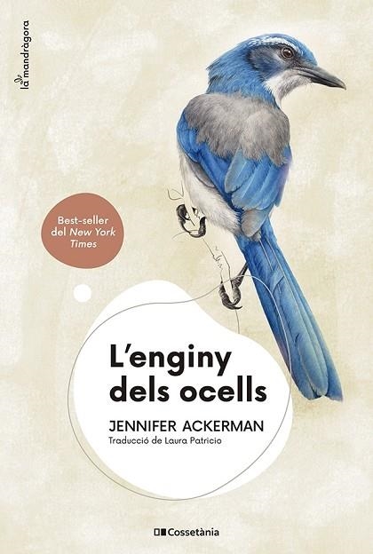 ENGINY DELS OCELLS, L' | 9788413562544 | ACKERMAN, JENNIFER | Llibreria Drac - Llibreria d'Olot | Comprar llibres en català i castellà online