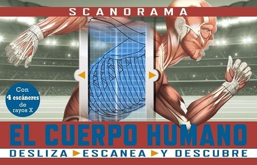 SCANORAMA. EL CUERPO HUMANO | 9788469667620 | CLAYBOURNE, ANNA | Llibreria Drac - Llibreria d'Olot | Comprar llibres en català i castellà online