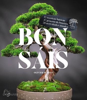 BONSÁIS | 9788419436610 | SAMSON, RÉMY; SAMSON, ISABELLE | Llibreria Drac - Llibreria d'Olot | Comprar llibres en català i castellà online