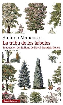 TRIBU DE LOS ÁRBOLES, LA | 9788419392510 | MANCUSO, STEFANO | Llibreria Drac - Llibreria d'Olot | Comprar llibres en català i castellà online