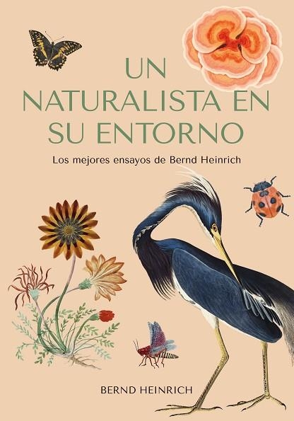 NATURALISTA EN SU ENTORNO, UN | 9788412618488 | HEINRICH, BERND | Llibreria Drac - Llibreria d'Olot | Comprar llibres en català i castellà online