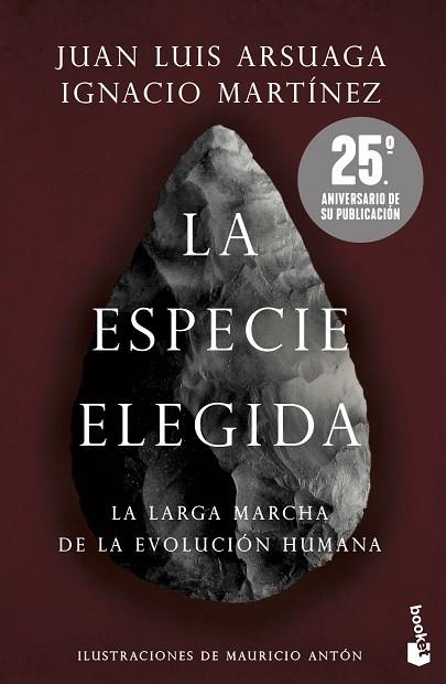 ESPECIE ELEGIDA, LA (EDICIÓN 25.º ANIVERSARIO) | 9788423363490 | ARSUAGA, JUAN LUIS; MARTÍNEZ, IGNACIO | Llibreria Drac - Llibreria d'Olot | Comprar llibres en català i castellà online